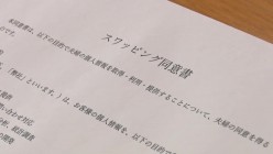 预览图11