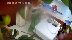 预览图2