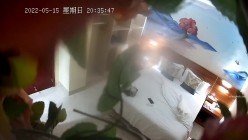 预览图4