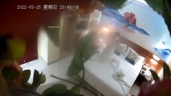 预览图5