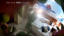 预览图8