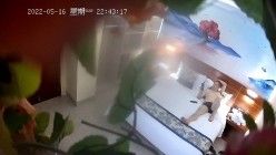 预览图9