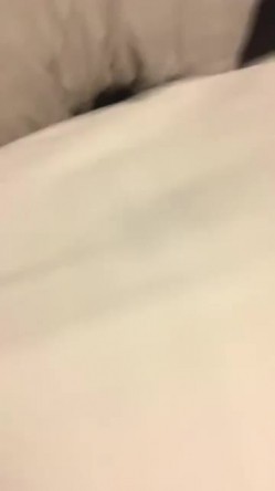 预览图12