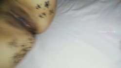 预览图2
