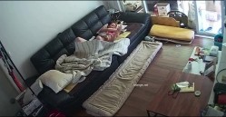 预览图13