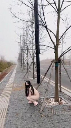 预览图1