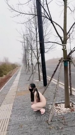 预览图2