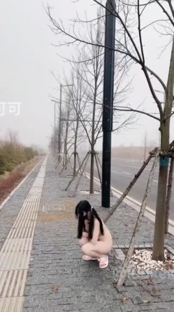 预览图4