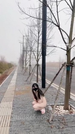 预览图5