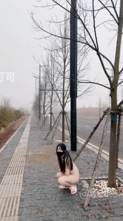 预览图7