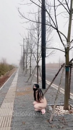 预览图8