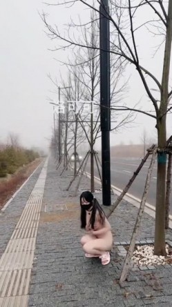 预览图9