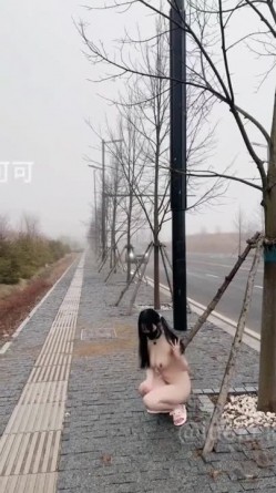 预览图10