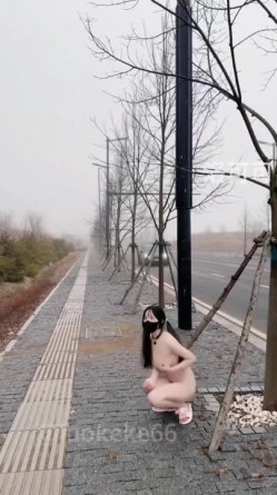 预览图11