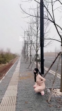 预览图12