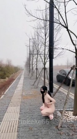 预览图14
