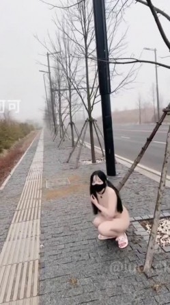 预览图16
