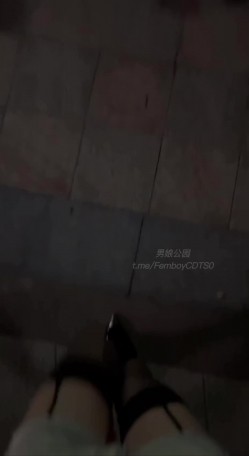 预览图1