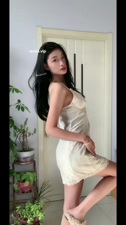 预览图6