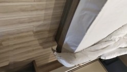 预览图4