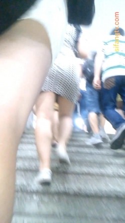 预览图7