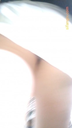 预览图13