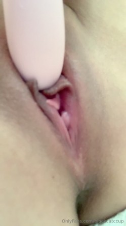 预览图4