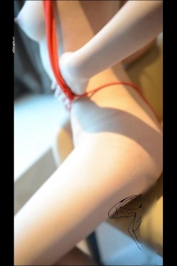 预览图6