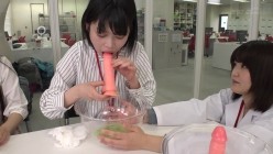 预览图4