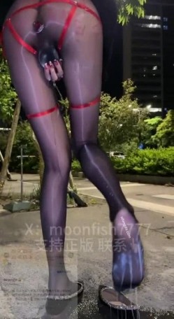 预览图5