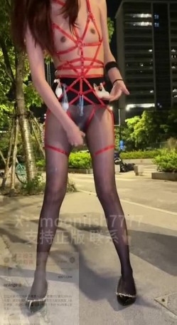 预览图8