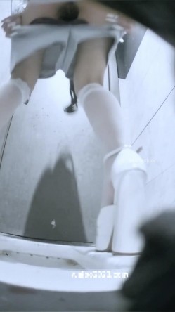 预览图9