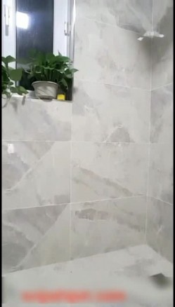 预览图1