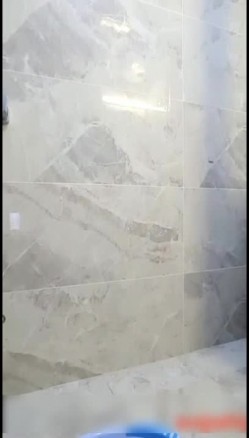 预览图5