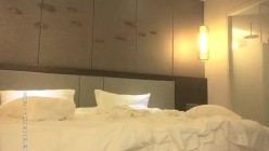 预览图14