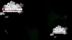 预览图4