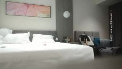 预览图11