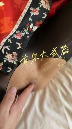 预览图2