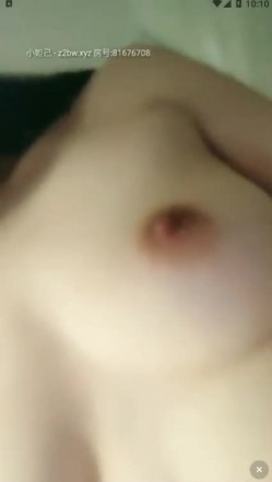 预览图8