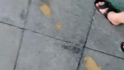 预览图5