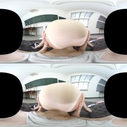 预览图14
