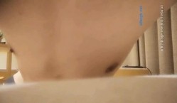 预览图14