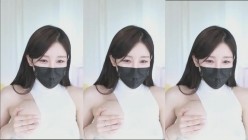 预览图4