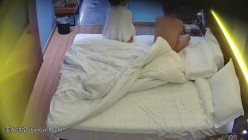预览图4