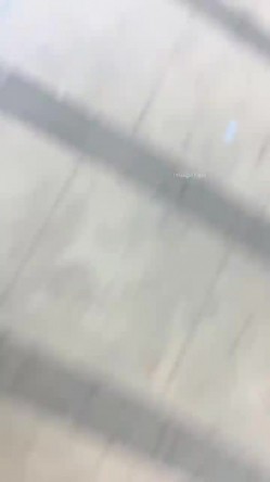预览图9