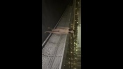 预览图10