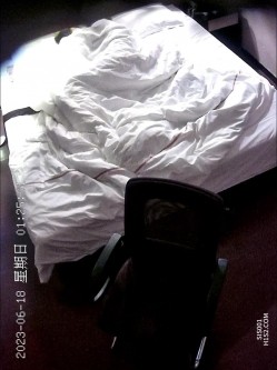 预览图8
