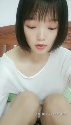 预览图3