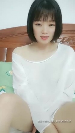 预览图5