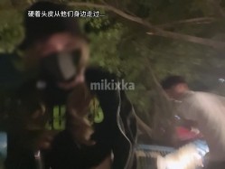 预览图13